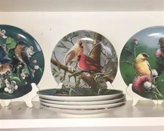 Collector bird plates