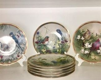Collector bird plates