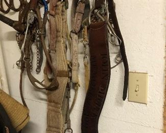 Horse Tack