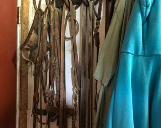 Horse Tack