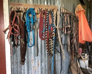 Horse Tack