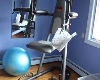 Weider Club 360 Power Tower