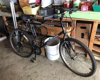 Schwinn Woodlands men’s bike