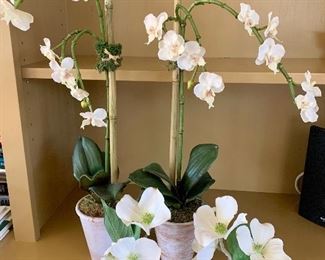 4 decorative orchids: $15