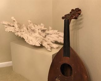 Moroccan Oud
Large coral