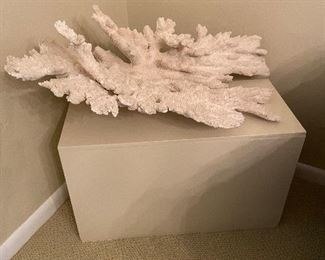 Very large sea coral and base