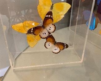 Signed acrylic butterfly art