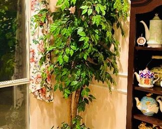2 large artificial ficus trees