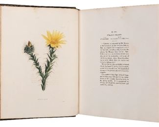 The Botanical Cabinet with a Charles Darwin Association 