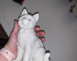 Photo Inv #598  - Cat - $10