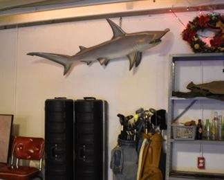 Hammerhead Shark, Collectible Soda Bottles