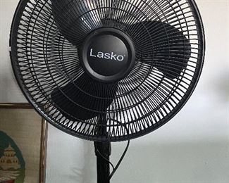 Fan