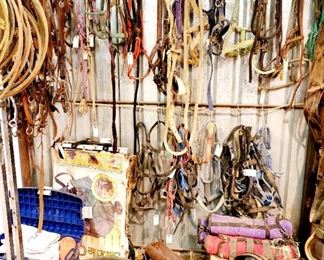 Horse Tack