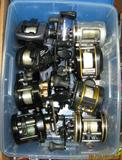 Reels