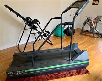 Trotter 575 Treadmill
