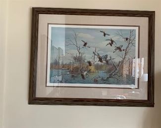 WILDLIFE ARTWORK - MANY MANY PIECES