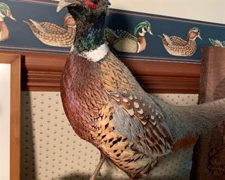Quail Mount