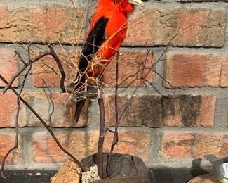 Bird mount
