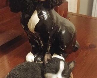 Cat and dog