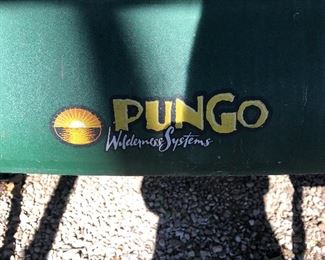 Pungo Wilderness Systems Kayak and Paddle