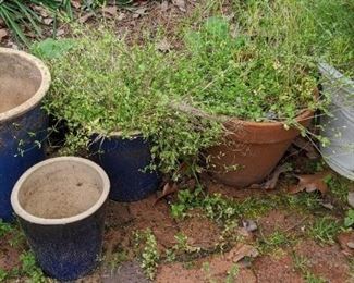 Garden Pots