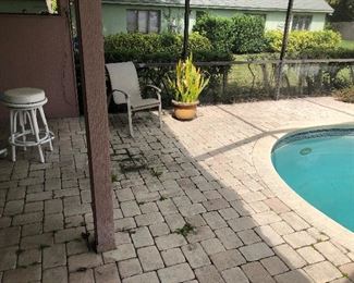 Nice large plants, too!