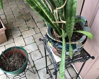 Another great plant and stand