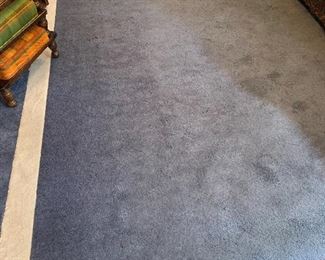 Blue Area Rug