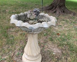 "Chicken" in the Bird bath