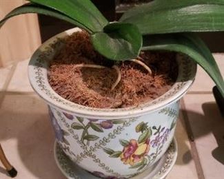 $15 - Item #204: Faux plant in ceramic pot