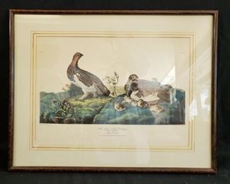 Framed Willow Grous or Large Ptarmigan plate, 27.5” w x 24” h - discounted price now $32.50
***Please note: California sales tax will be charged on all purchases unless you have a valid California resale certificate on file with us.***