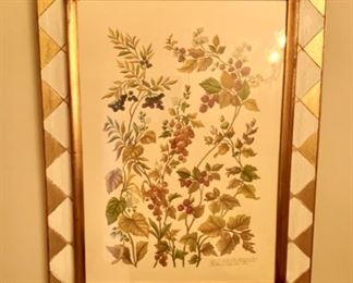 SOLD-       Botanical Print