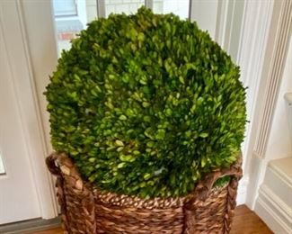 SOLD-        Basket with Hedge