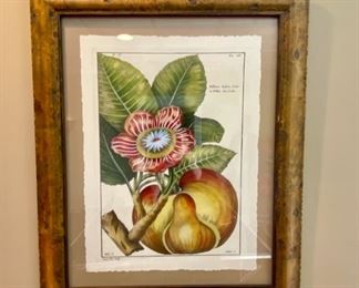 Framed Botanical Print