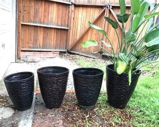 Matching Outdoor Planters w/ Plant 4 Pc https://ctbids.com/#!/description/share/362825