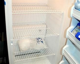 #16 - Frigidaire Upright Freezer