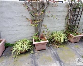 6 Planters measures approx 18X15 to 17 X 6
