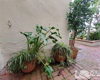 2 Medium Planters and Fake Plant