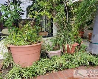 3 Planters