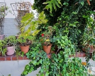 8 Small Planters
Measurements range from approx 11" x 9" to 7" x 8"