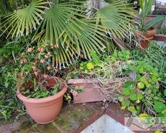 4 Planters
Measurements range from 7" x 11" - 21" x 13"