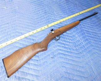 Rogue Firearms Chipmunk .22 Youth Rifle