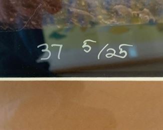 *Signed* R Brewer Canyonlands Framed Photo 5/25	36.5x40in		SC206