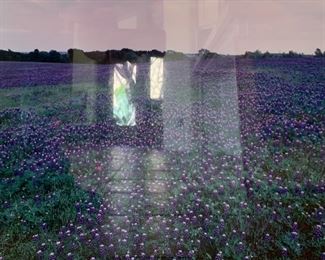 *Signed* Louis W. Cantillo Blue Bonnet Brenham, Texas	22.5x26.5in		SC209