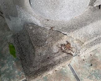 #803 - Concrete Julius Ceasar  with huge concrete base (as is-see crack in base) - $325.00.