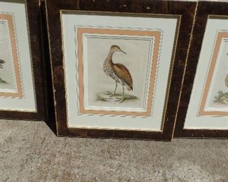 set three framed bird prints set only $275