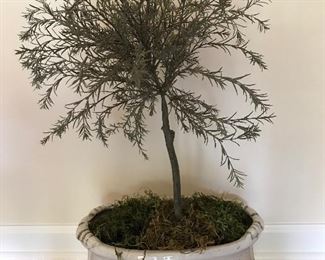 Decorative Italian tree