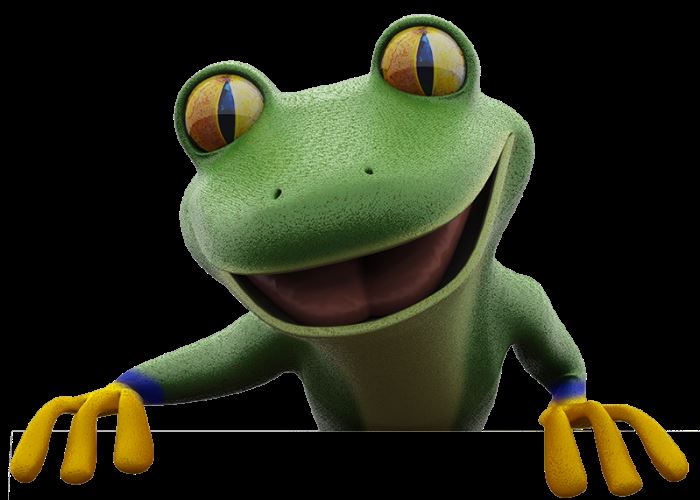 Green Frog Estate Sales