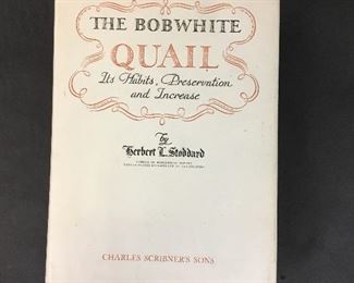 The Bob White Quail by Stoddard