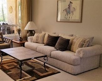#5 Sofa - $250  Coffee table not available.   Rug - $25